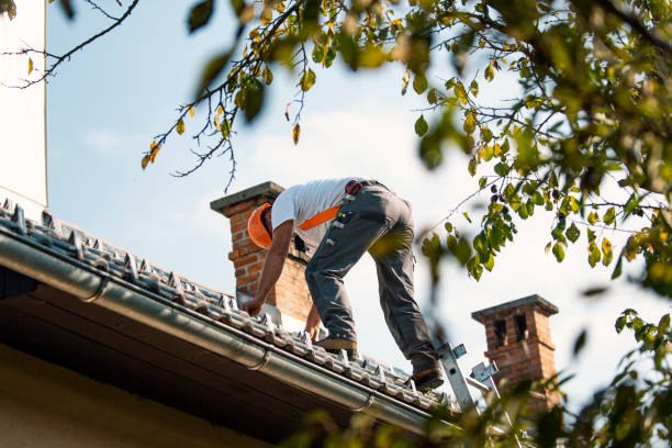 Best Roof Replacement  in Guttenberg, IA