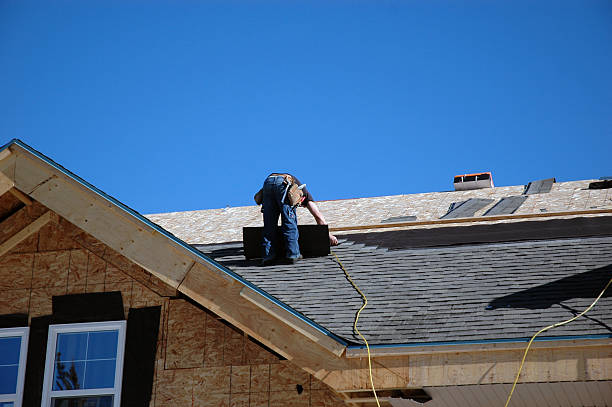 Best Sheet Metal Roofing  in Guttenberg, IA