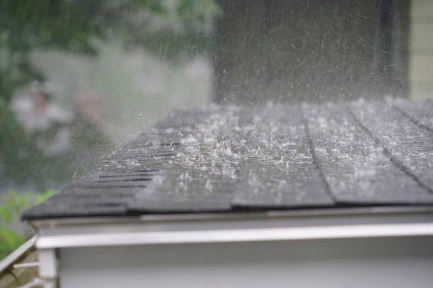 Best Asphalt Shingles Roofing  in Guttenberg, IA