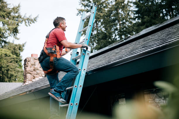 Best Roof Installation  in Guttenberg, IA